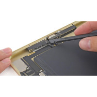 Ремонт динаміка iPad 10.2 (2019/2020)