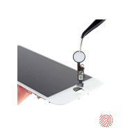 Відновлення Touch ID iPhone SE 2020
