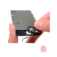 Відновлення Touch ID iPhone 5s / SE