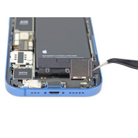 Ремонт основного динаміка iPhone 13 Mini