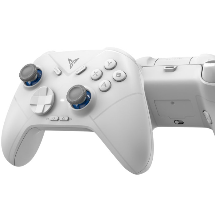 Геймпад універсальний Flydigi Direwolf 3 з кейсом, White
