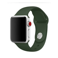 Ремінець для Apple Watch - 42/44/45/46/49mm, Sport Band, Virid (S) (HC)