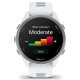 Смарт-годинник Garmin Forerunner 170 Whitestone with Whitestone/Cloud Blue Band
