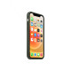 Чохол для iPhone 12 Mini - Silicone Case Magsafe, Cyprus Green (HC)