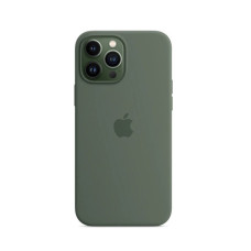 Чохол для iPhone 13 Pro Max - Silicone MagSafe, Eucalyptus (HC)