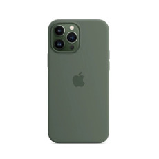 Чохол для iPhone 13 Pro Max - Silicone MagSafe, Eucalyptus (HC)