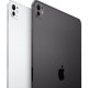Apple iPad Pro 13 Wi-Fi + Cellular M4 2Tb with Nano-texture Glass Silver (2025)