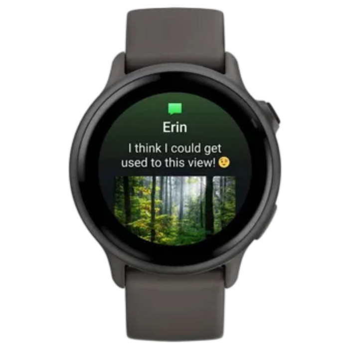 Смарт-годинник Garmin Vivoactive 6 Slate with Pebble Grey Band