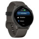 Смарт-годинник Garmin Vivoactive 6 Slate with Pebble Grey Band