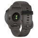 Смарт-годинник Garmin Vivoactive 6 Slate with Pebble Grey Band