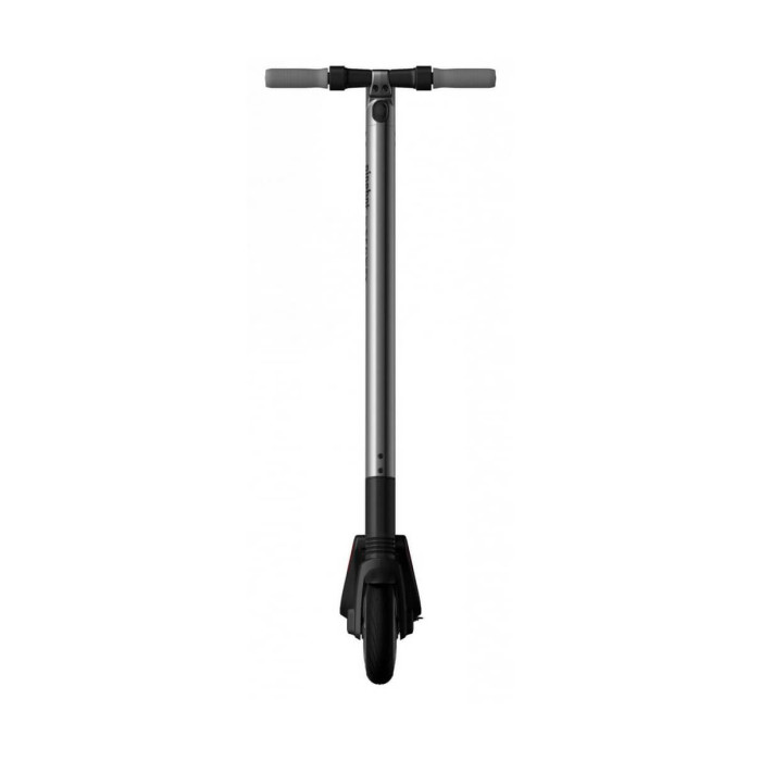 Електросамокат Ninebot by Segway ES2 (40.02.0000.00)
