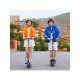 Електросамокат Ninebot by Segway E10 (AA.00.0002.32)
