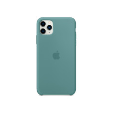 Чохол для iPhone 11 Pro - Silicone Case, Cactus (HC)