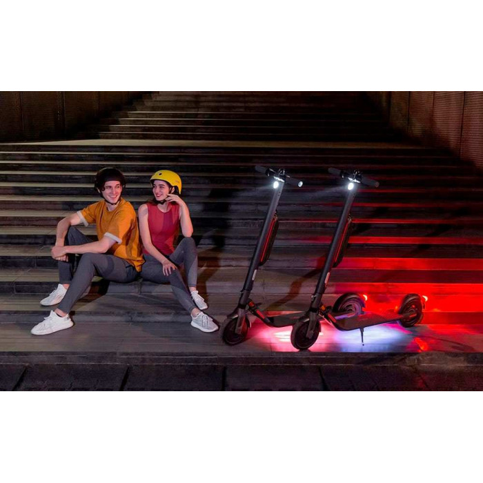 Електросамокат Ninebot by Segway E45E (AA.00.0002.22)