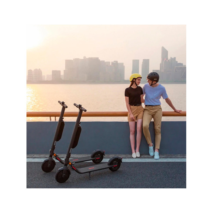 Електросамокат Ninebot by Segway E45E (AA.00.0002.22)
