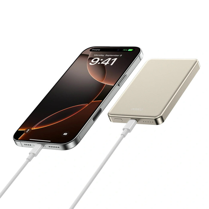 Додатковий аккумулятор Wiwu 5000mAh Ultra-Thin Power Bank 15W Titanium Gold