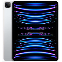 Apple iPad Pro 11 Wi-Fi M2 2Tb Silver (2022)