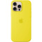 Чохол для iPhone 16 Pro Max - Silicone MagSafe, Star Fruit (HC)