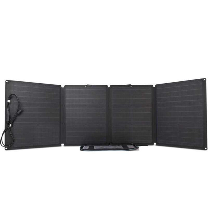 Комплект EcoFlow DELTA + 2*110W Solar Panel