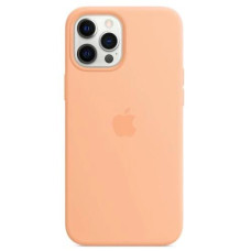 Чохол для iPhone 12/12 Pro - Silicone MagSafe, Cantaloupe (HC)