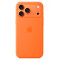 Чохол для iPhone 17 Pro Max - Silicone MagSafe, Orange (HC) Чохол для iPhone 17 Pro Max - Silicone MagSafe, Orange (HC)