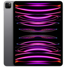 Apple iPad Pro 11 Wi-Fi + Cellular M2 2Tb Space Gray (2022)