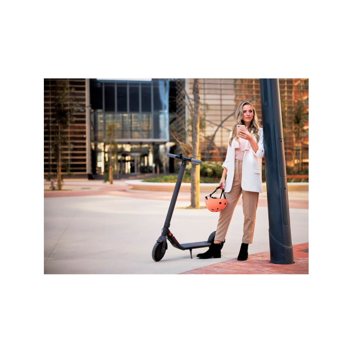 Електросамокат Ninebot by Segway E22E (AA.00.0000.62)