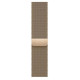 Apple Watch S9 41mm Gold Stainless Steel, Gold Milanese Loop