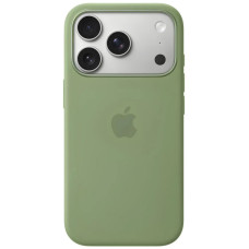 Чохол для iPhone 17 Pro Max - Silicone MagSafe, Light Moss (HC)