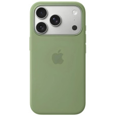 Чохол для iPhone 17 Pro Max - Silicone MagSafe, Light Moss (HC)