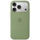 Чохол для iPhone 17 Pro Max - Silicone MagSafe, Light Moss (HC)