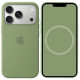 Чохол для iPhone 17 Pro Max - Silicone MagSafe, Light Moss (HC)