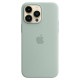 Чохол для iPhone 14 Pro Max - Silicone MagSafe, Succulent (HC)