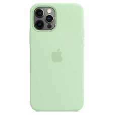 Чохол для iPhone 12/12 Pro - Silicone MagSafe, Pistachio (HC)