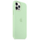 Чохол для iPhone 12/12 Pro - Silicone MagSafe, Pistachio (HC)