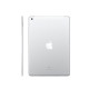 Apple iPad 10.2 Wi-Fi + Cellular 32GB Silver (2019) Вживаний (б/в)
